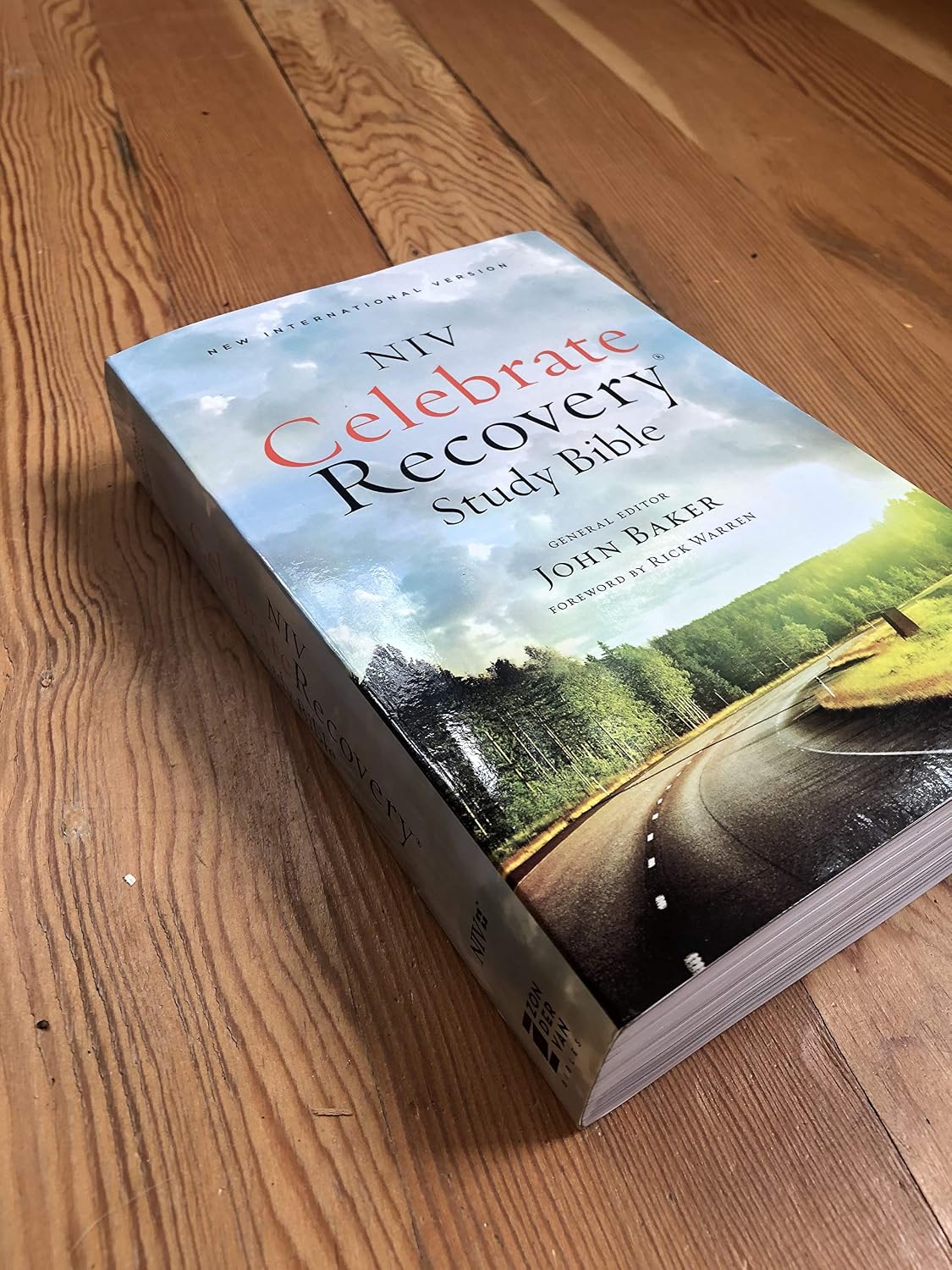 NIV, Celebrate Recovery Study Bible - görsel 4