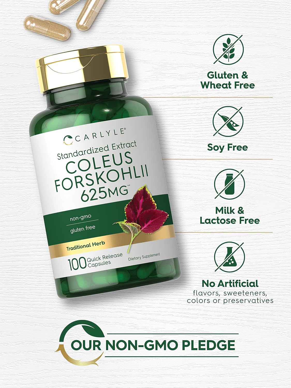 Carlyle Coleus Forskohlii Capsules | 100 Capsules | Standardised Forskolin Extract Supplement | Non-GMO & Gluten-free - görsel 4