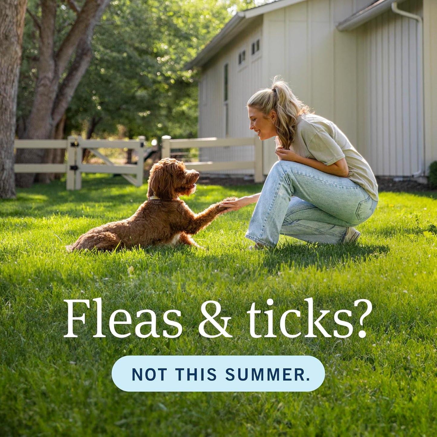 PetArmor Fastact Plus Flea and Tick Spray for Dogs and Cats - görsel 3