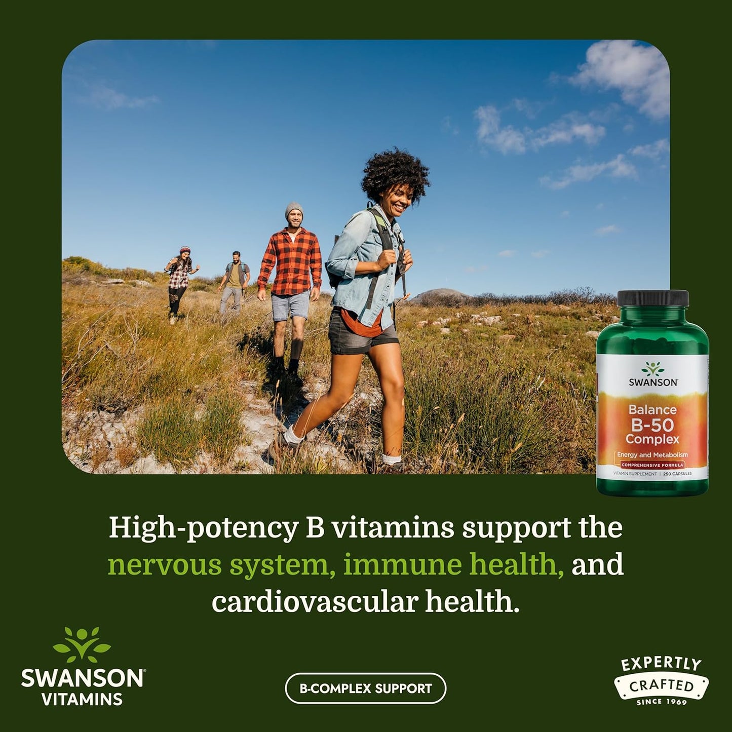 Swanson Balance B-50 High-Potency B Vitamin Complex - 250 Capsules - görsel 2
