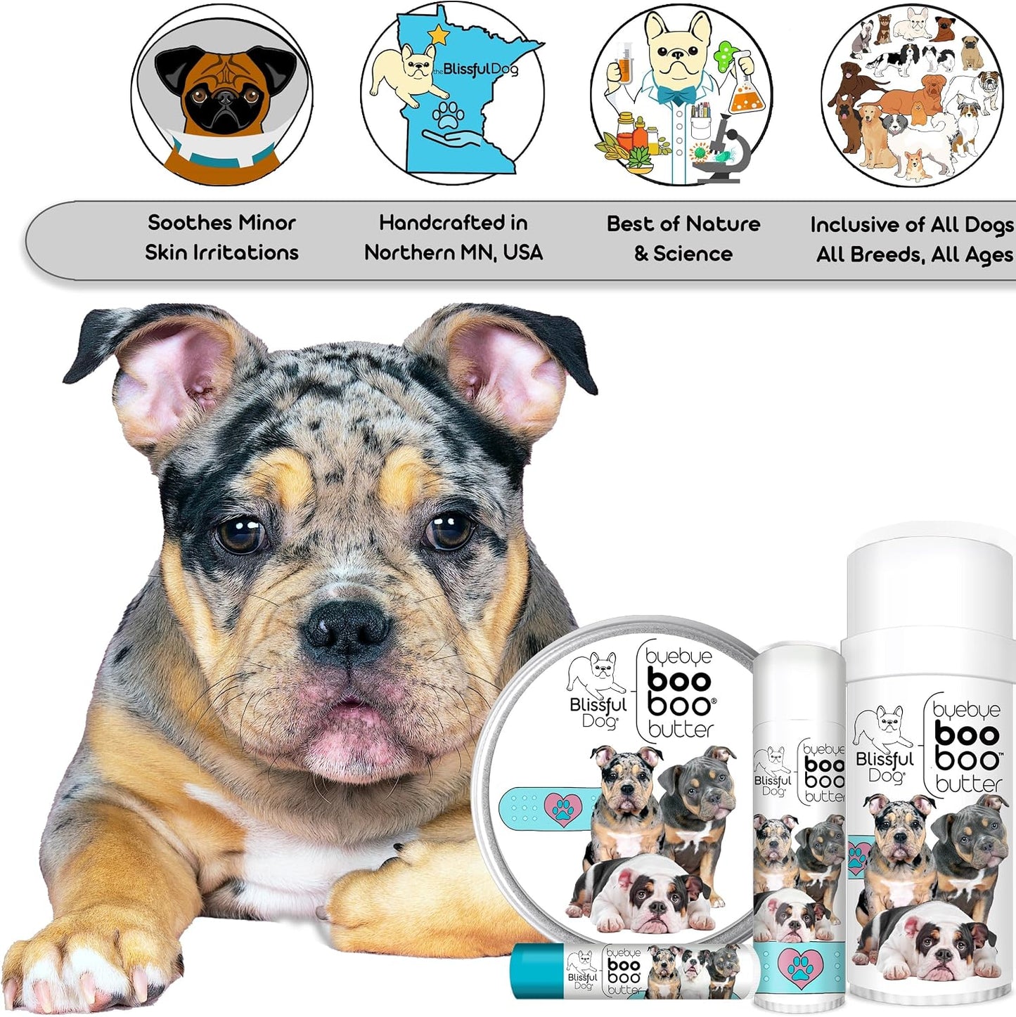 The Blissful Dog Olde Englishe Bulldogge Booboo Butter (28g Tin) - görsel 5