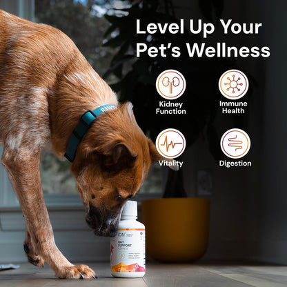 ION* Intelligence of Nature Gut Support for Pets – Liquid Digestive Health Supplement for Dogs and Cats, 473 ml