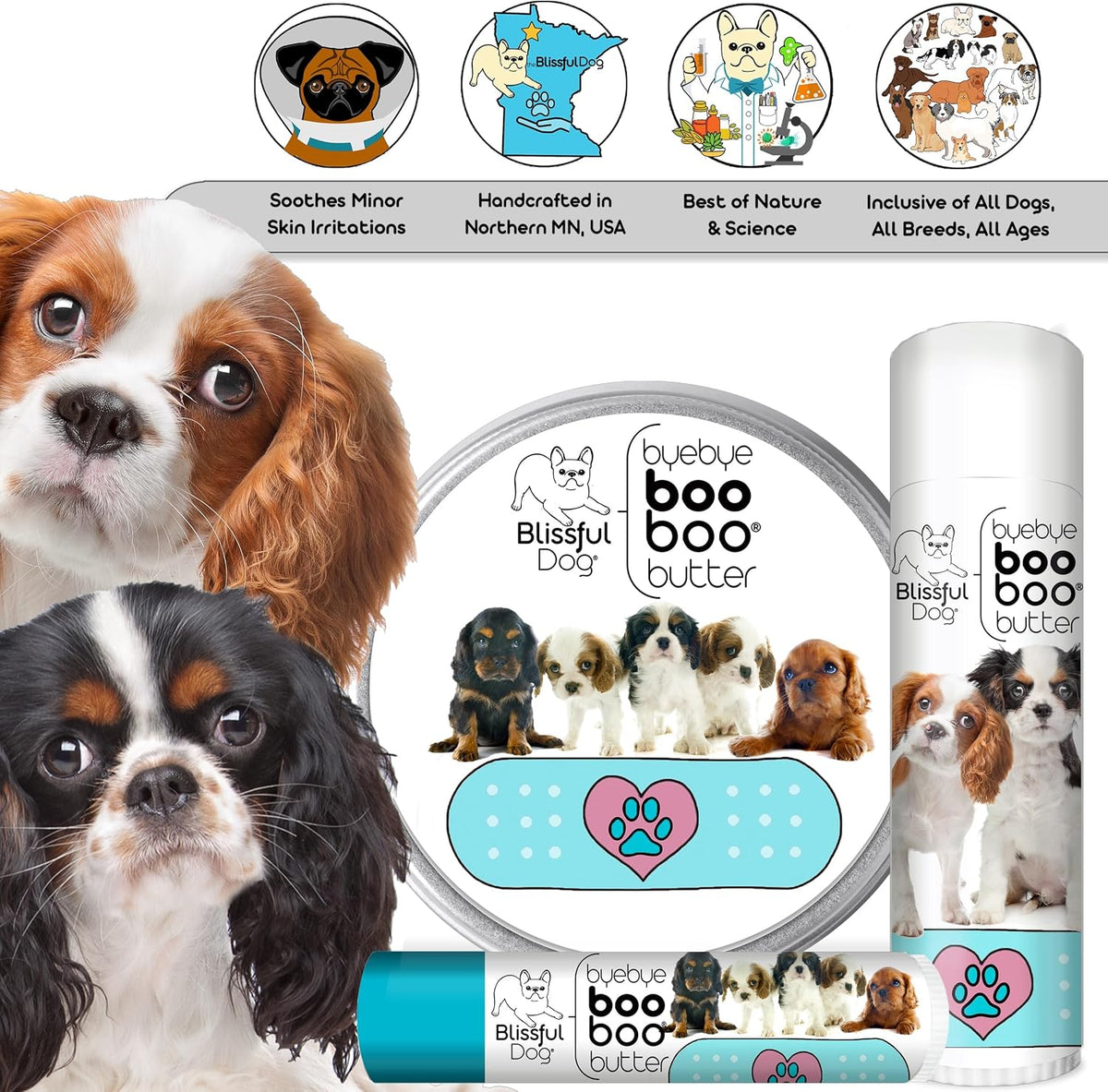 The Blissful Dog Cavalier King Charles Spaniel Booboo Butter, 2 oz Tin - görsel 6