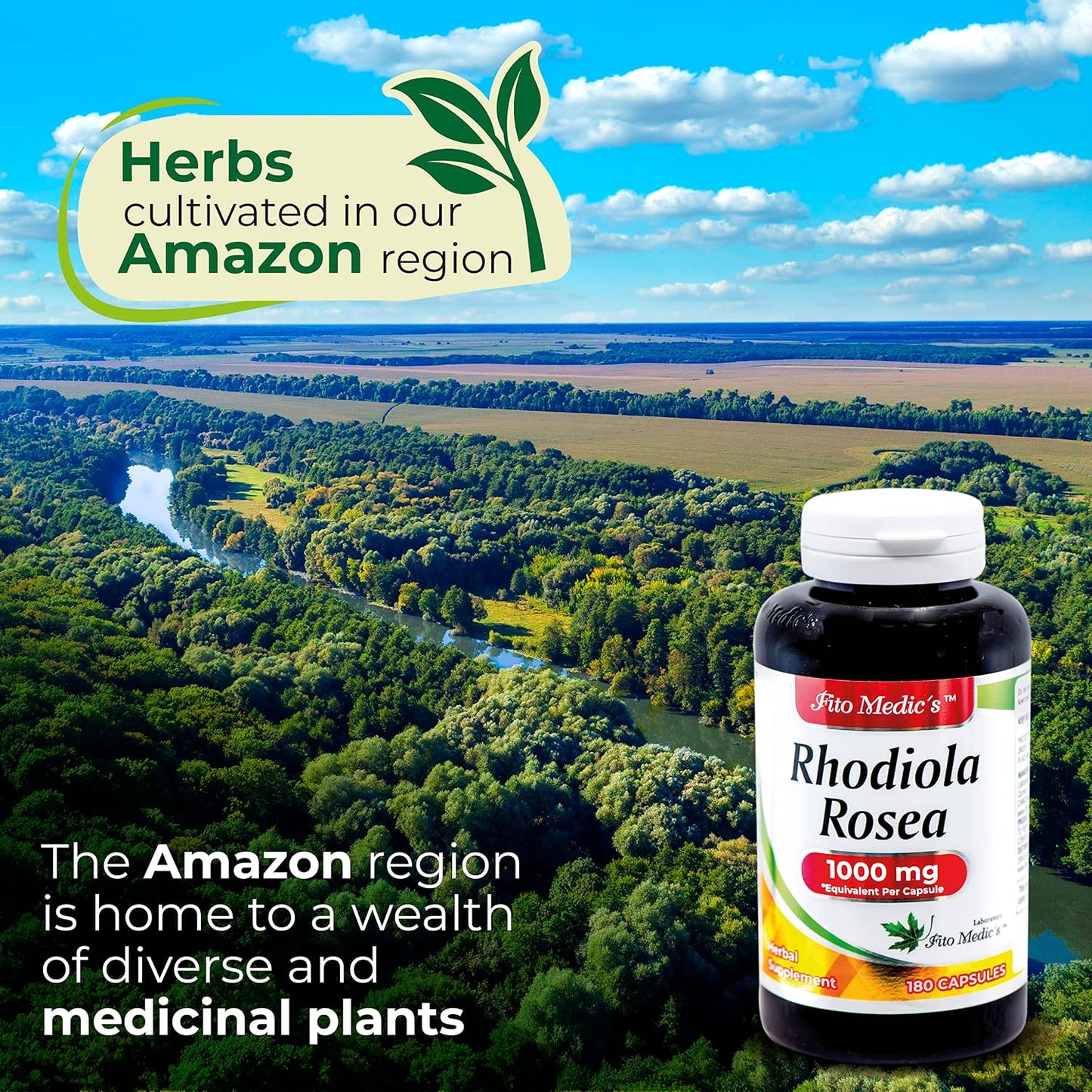 Rhodiola Rosea Supplement - Ultra-High Absorption - 180 Capsules - görsel 6
