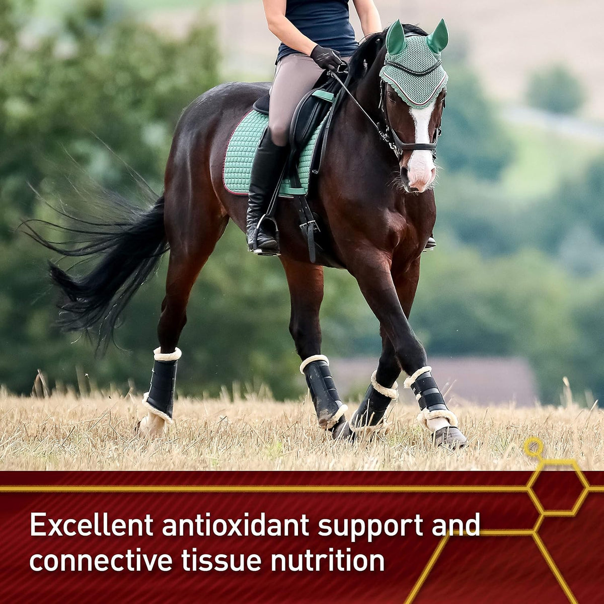 Vita Flex Pro Pure C Antioxidant – Premium Horse Vitamin C Supplement, 2 lb - görsel 4