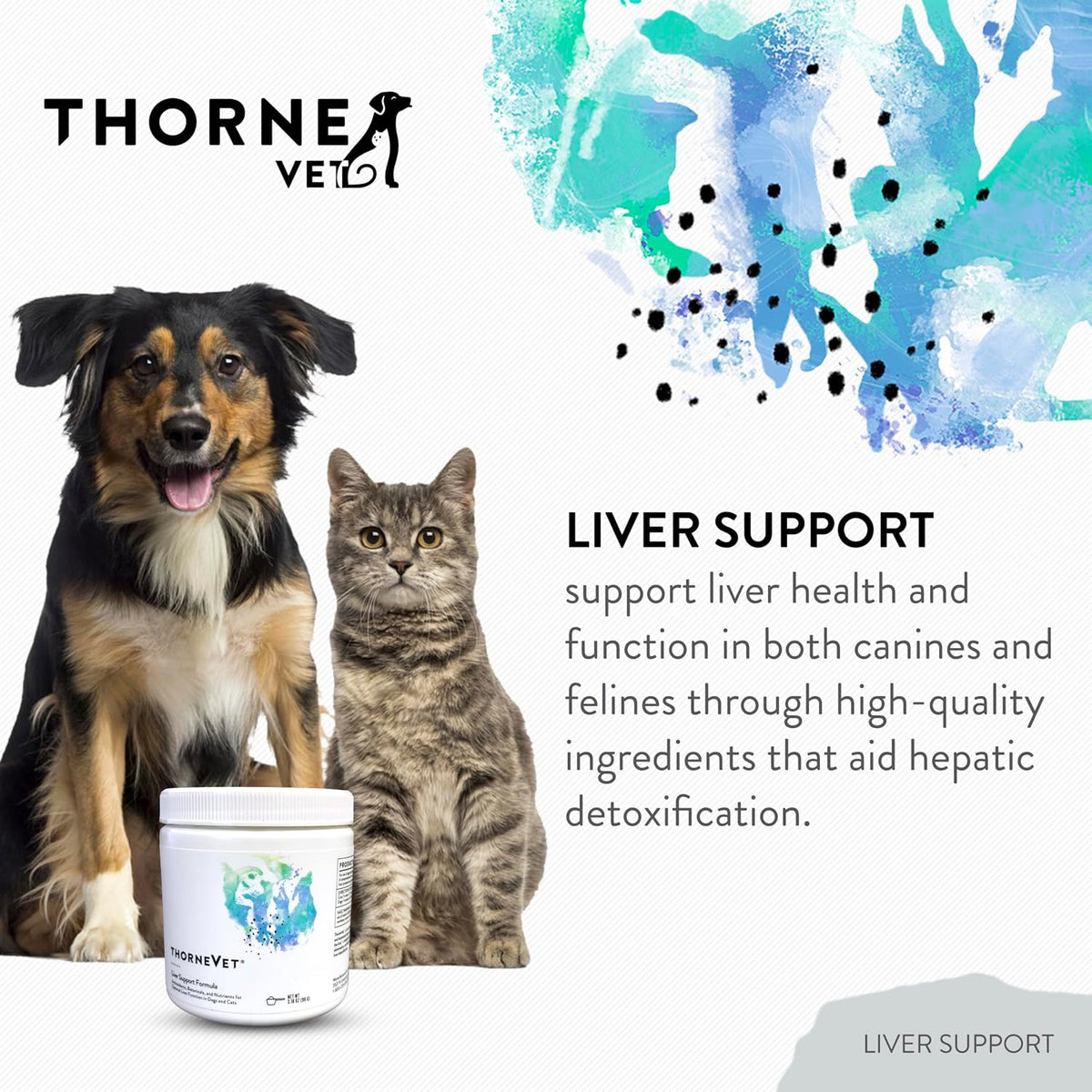 ThorneVET Liver Support Powder – Liver Support for Small Animals: Dogs & Cats, 90 Scoops - görsel 2