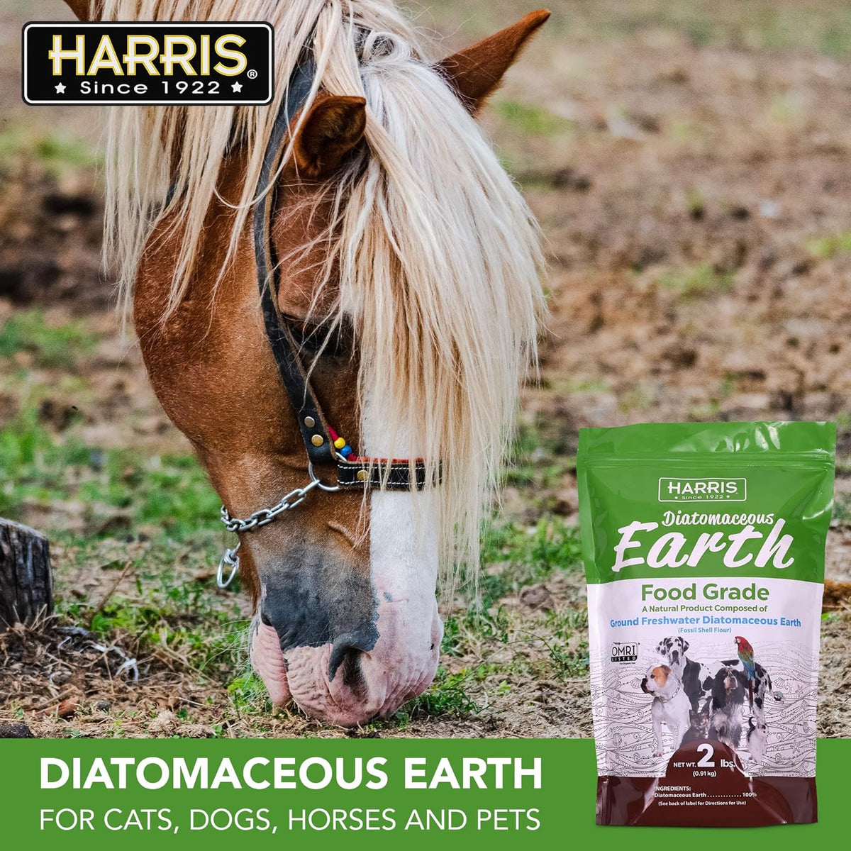 Harris Food Grade Diatomaceous Earth for Pets, 2 lb - görsel 3