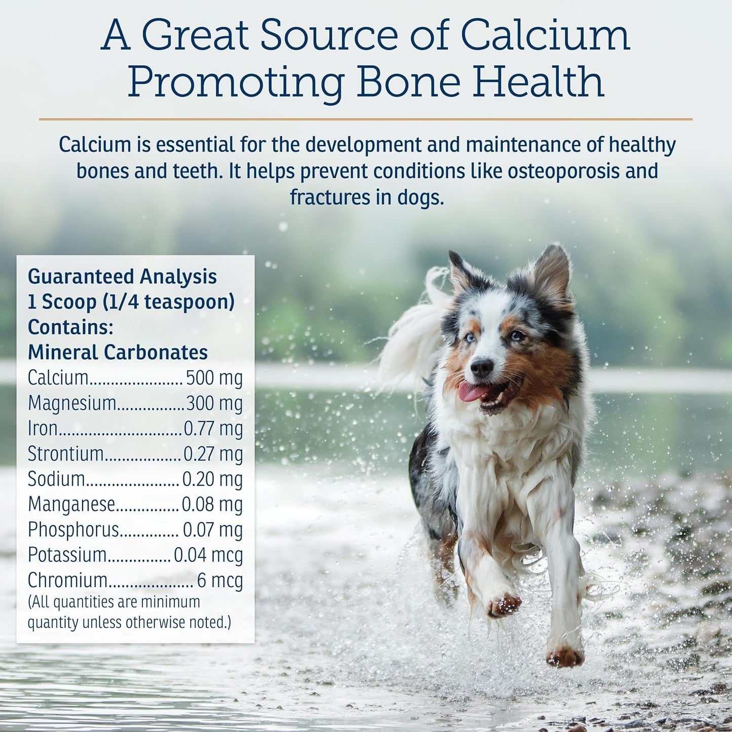 Rx Vitamins Canine Minerals - Essential Mineral Supplement for Dogs (454g) - görsel 5