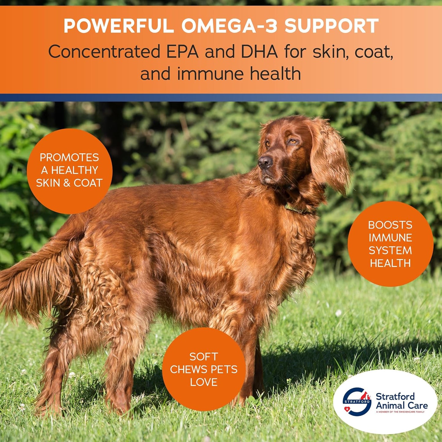 Pharmaceuticals EZ Chew Omega 3 Fatty Acid Soft Chew Max Strength – Dog Omega 3 Supplement – Soft Chew Treats with Fish Oil for Dogs – Large and Giant Dogs – 150 Soft Chews - görsel 4