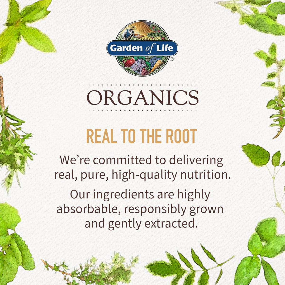 Garden of Life Organics Plant Collagen Builder with Biotin & Silica - Plant-Based Collagen Supplement for Hair, Skin, Nails & Joint Support - Organic, Non-GMO, Vegan - 60 Tablets - görsel 5