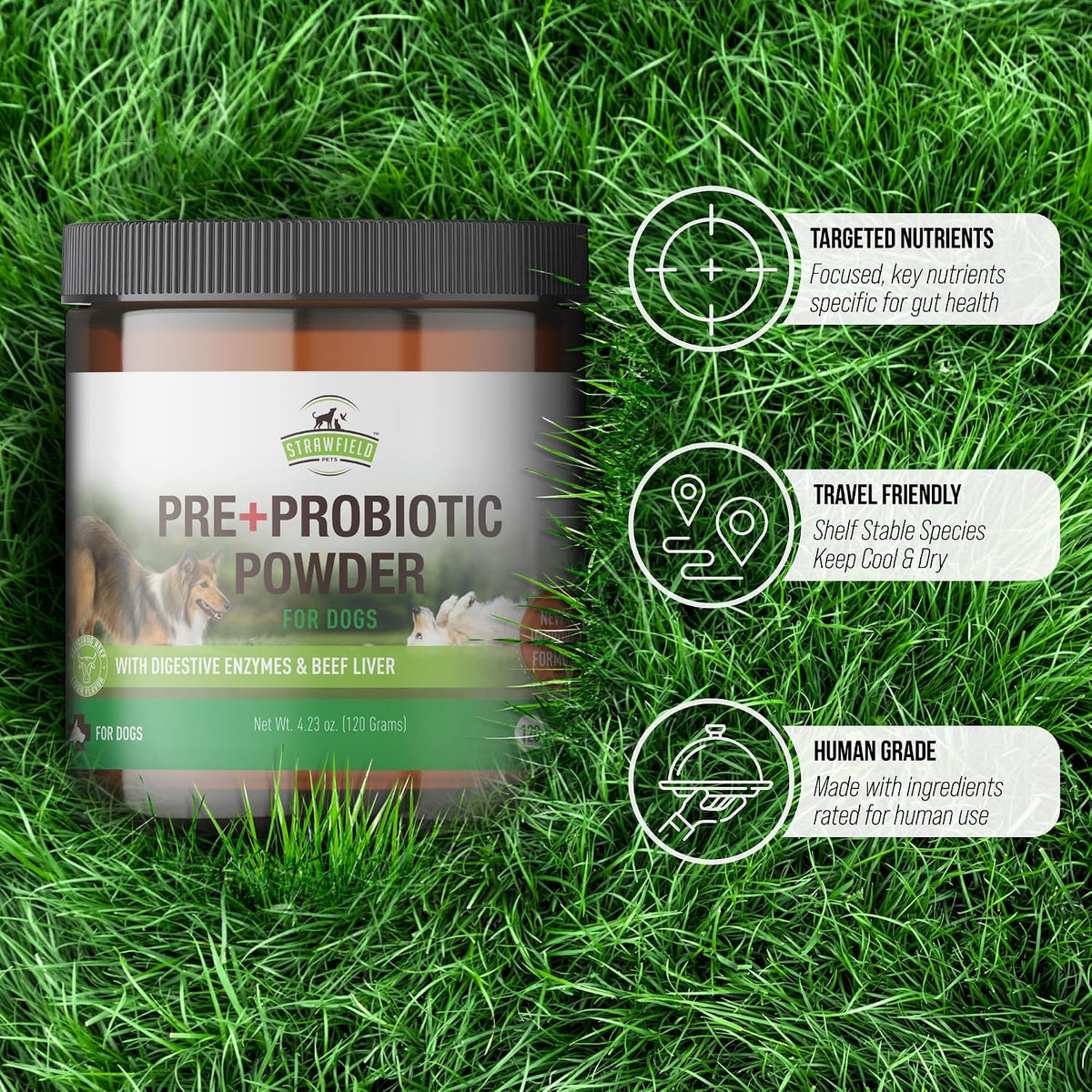 Strawfield Pets Pre + Probiotic Powder for Dogs with Digestive Enzymes – Natural Beef Liver Flavour, 120 Scoops - görsel 7