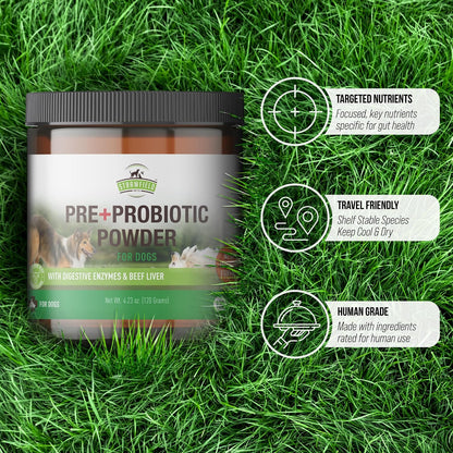 Strawfield Pets Pre + Probiotic Powder for Dogs with Digestive Enzymes – Natural Beef Liver Flavour, 120 Scoops