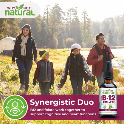 Why Not Natural Vitamin B12 Liquid Plus Folate – Organic Sublingual Extra Strength Vegan Drops – with Methylcobalamin and Folinic Acid