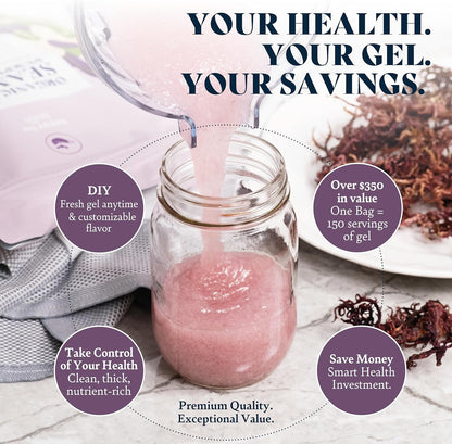 Organic Purple Sea Moss Raw - Makes 2.1 L of Sea Moss Gel, Rich in Phytonutrients & Minerals, Certified Non-GMO, Wildcrafted Superfood - 100 g Bag