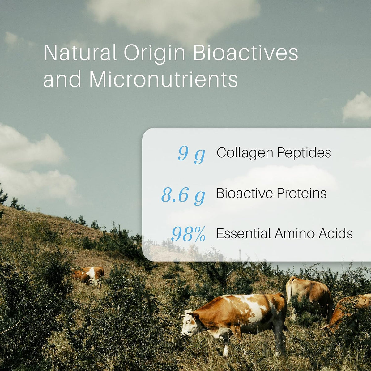 Simply Basically Bovine Colostrum Powder + Collagen Peptides - görsel 4