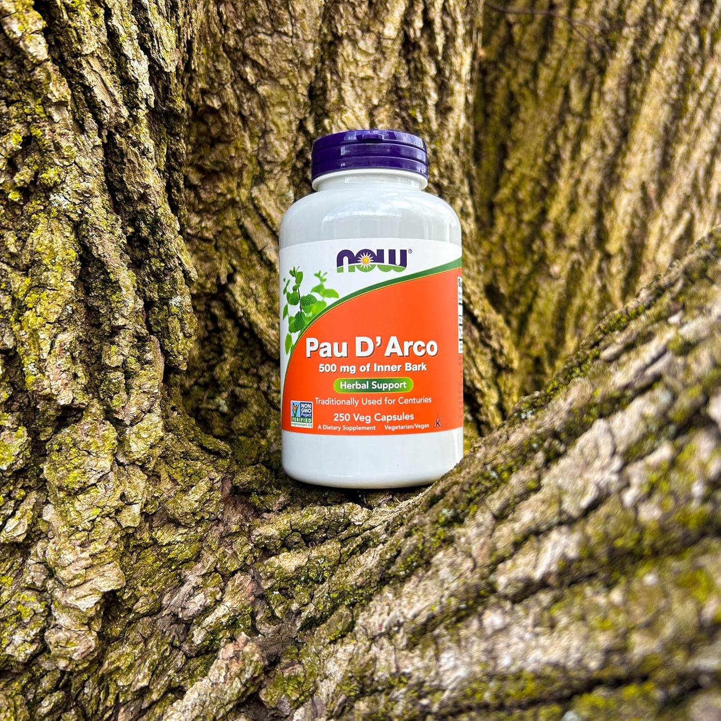 NOW Pau D'Arco 500 mg - Herbal Support, 250 Vegan Capsules - görsel 7