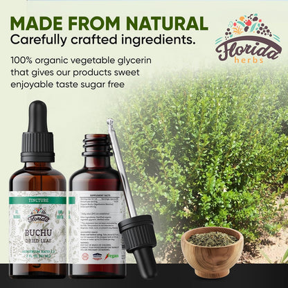 Buchu Tincture, Organic Buchu Extract (Agathosma Betulina) Dried Leaf Health Supplement, Non-GMO in Cold-Pressed Organic Vegetable Glycerine 2 oz, 670 mg