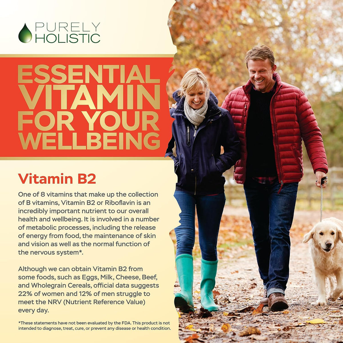 Purely Holistic Vitamin B2 Riboflavin 400mg - 240 Vegan Capsules (8 Month Supply) - görsel 4
