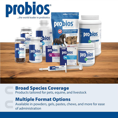 Probios for Dogs Soft Chews - Daily Probiotic Supplement for Gut Health, Digestion & Immune Support - Chicken Liver Flavour - 120 Chews