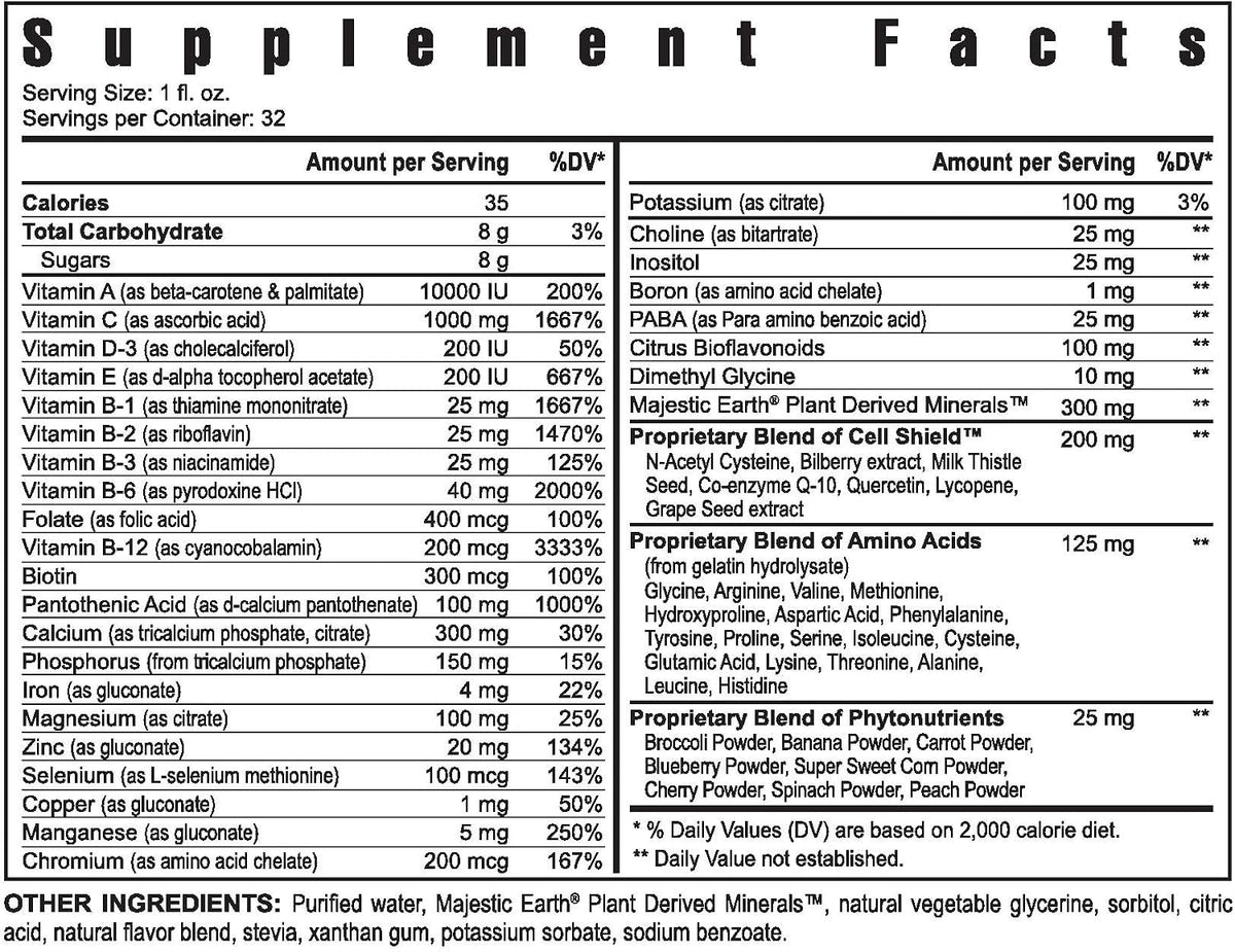 Youngevity Ultra Body Toddy™ – 100+ Nutrient Mega Multivitamin Mineral Supplement (4 Bottles, 946 ml Each) - görsel 1