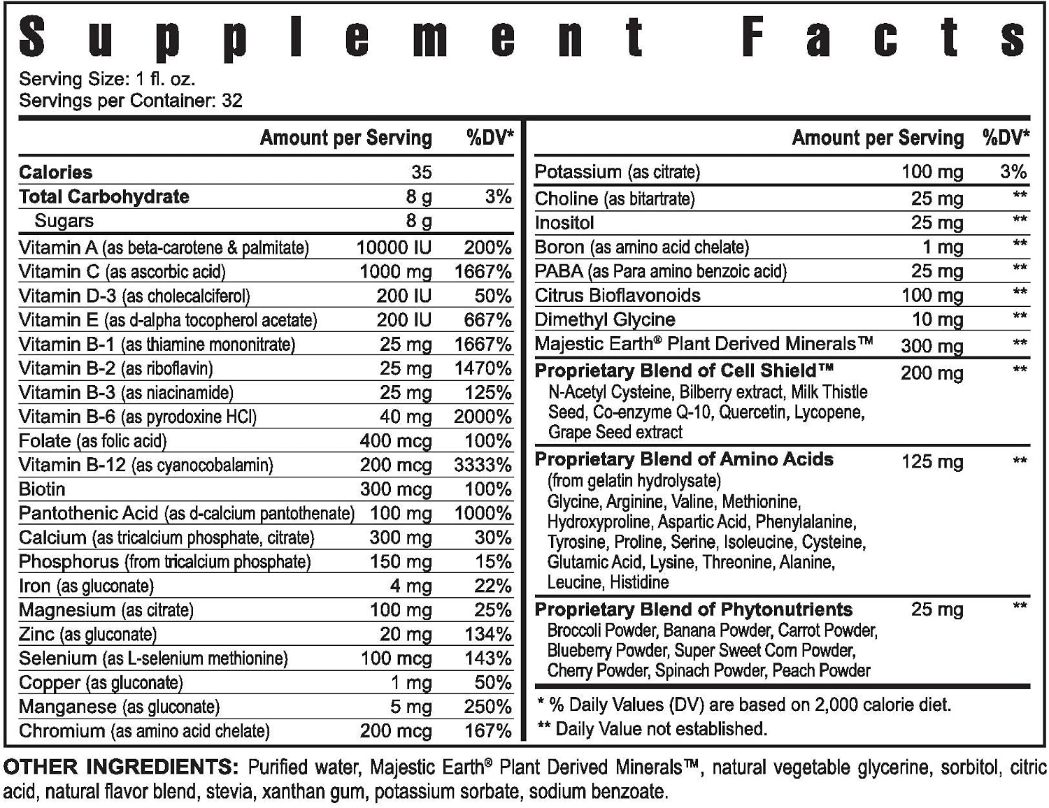 Youngevity Ultra Body Toddy™ – 100+ Nutrient Mega Multivitamin Mineral Supplement (4 Bottles, 946 ml Each) - görsel 1