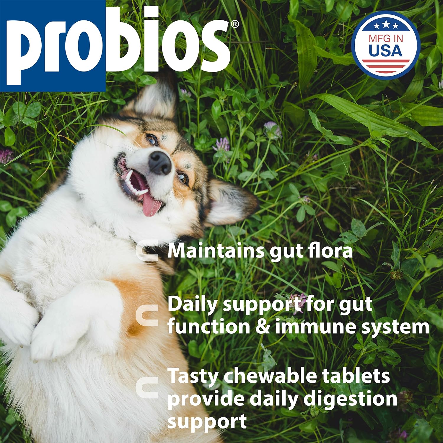 Probios Chewable Probiotic Tablets for Dogs - Chicken Liver Flavour, 45 Count - görsel 2