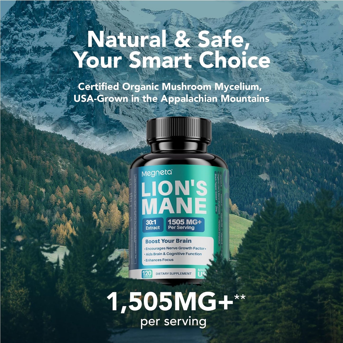Lion's Mane Extract with Black Pepper – 120 Capsules - görsel 8