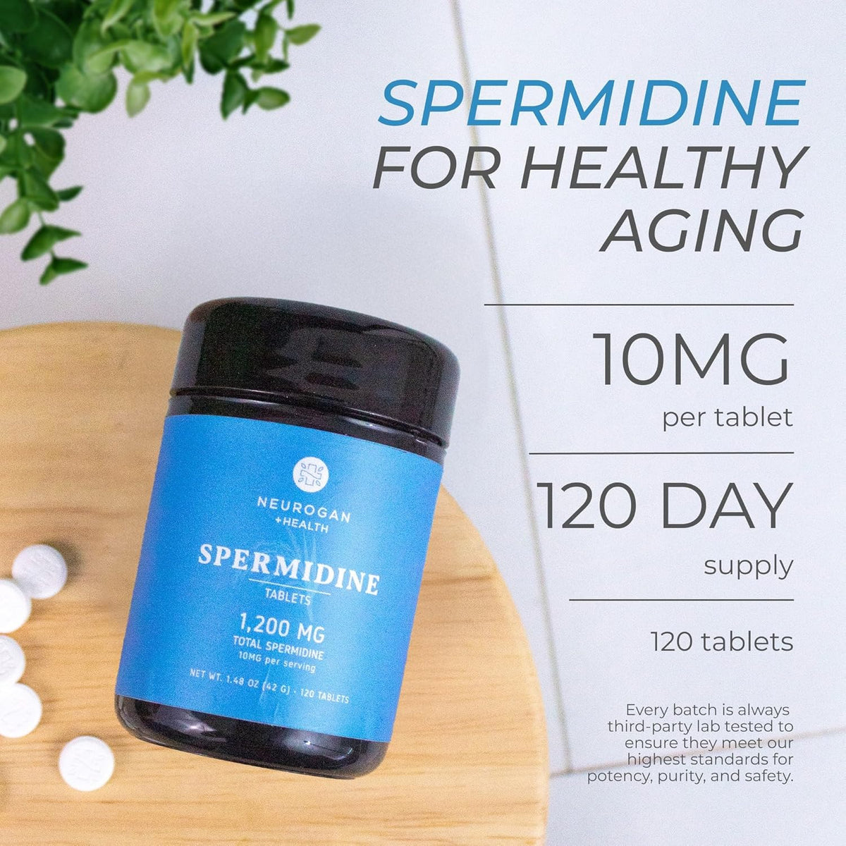 Neurogan Spermidine Supplement - 1200mg - 99% Pure - Cellular Health & Anti-Ageing - 10mg per Serving, 120 Capsules - görsel 4