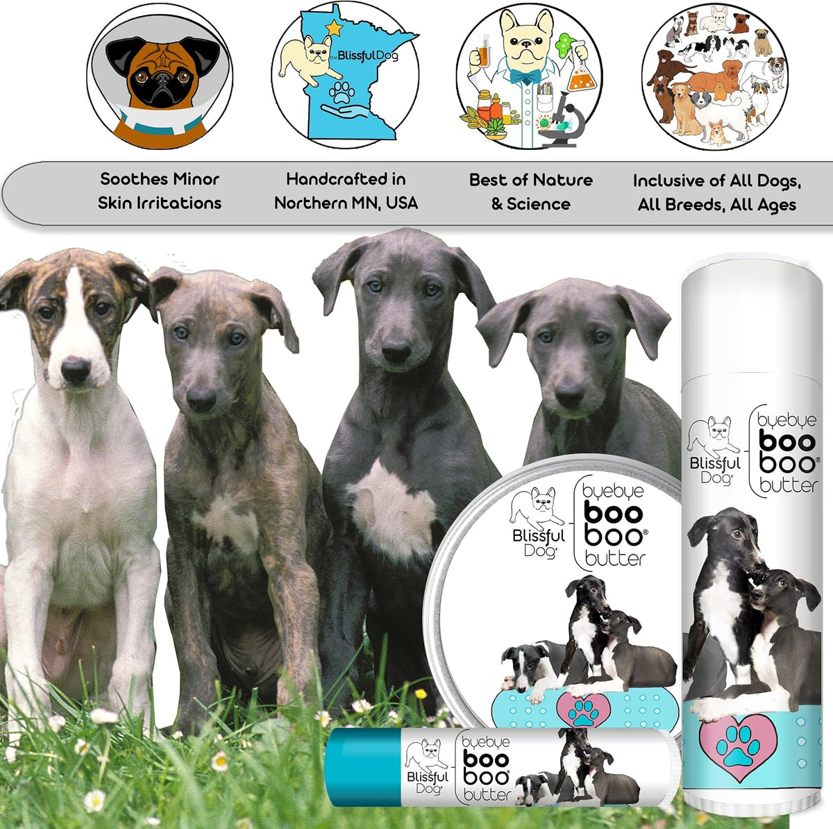 The Blissful Dog Greyhound Boo Boo Butter, 454g (16 oz) - görsel 6