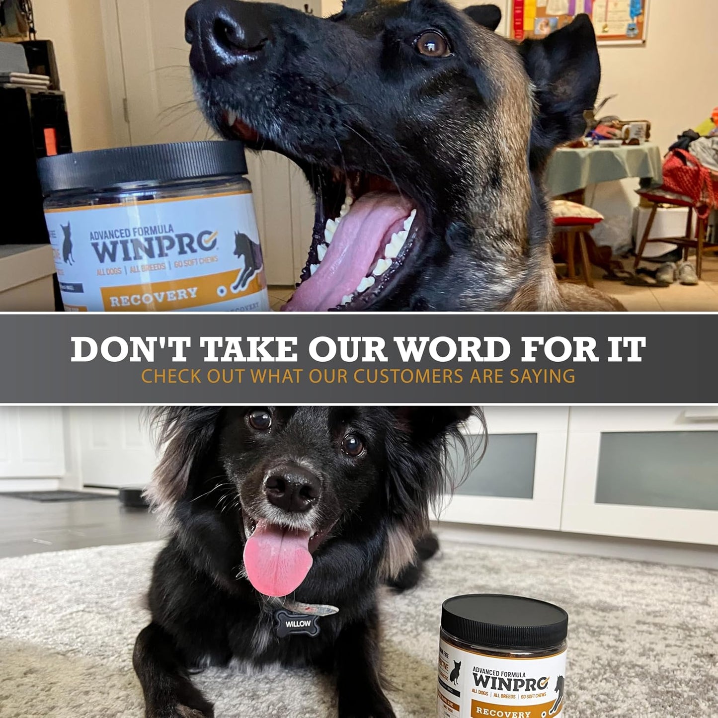 WINPRO Recovery Soft Chews for Dogs, Plasma-Powered Support for Healthy Inflammatory Response and Joint & Muscle Health, 60 Chews - görsel 7