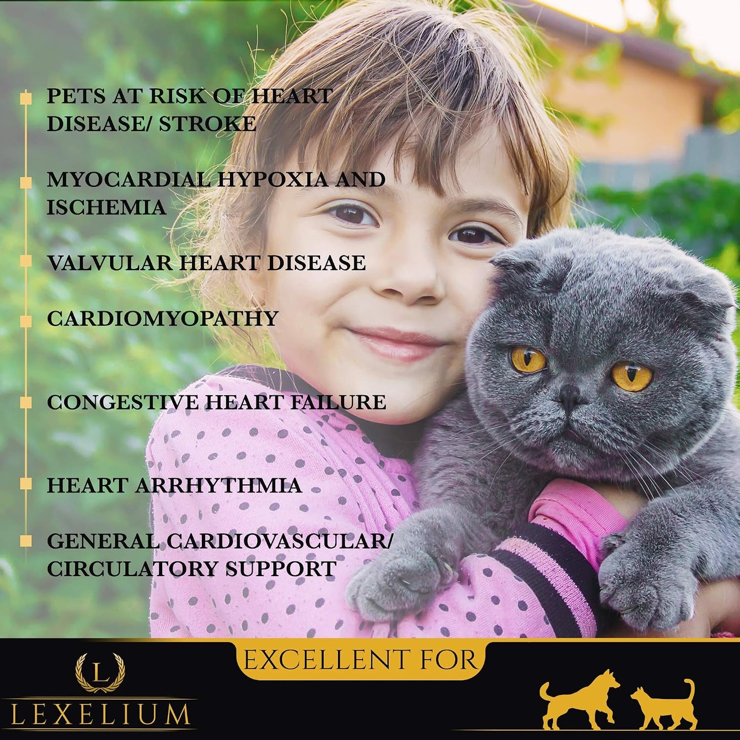 Lexelium Heart Supplement for Dogs and Cats - Taurine Powder for Cardiovascular Support - 200g - görsel 3