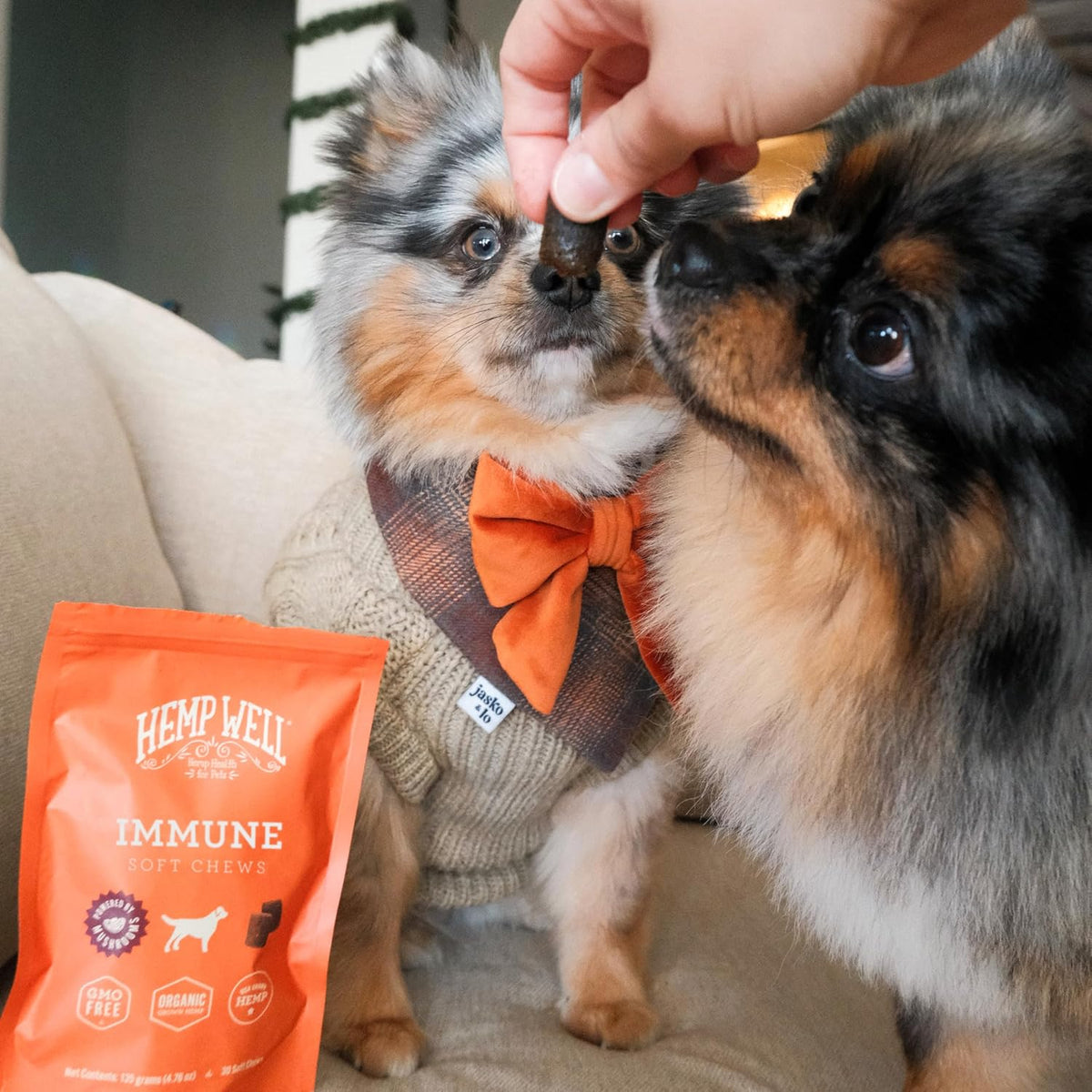 Immune - Allergy Support Dog Soft Chews - Long Lasting Relief for Seasonal Dog Allergies and Itching - Supports Healthy Skin and Immune System - Gut Health - Organic (30 Chews) - görsel 9