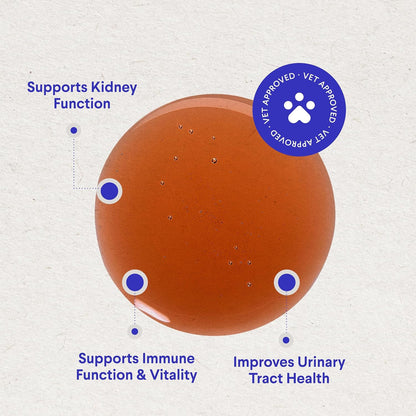 Wonder Paws Premium Kidney Support for Dogs – Cranberry Supplement – Liquid 60ml