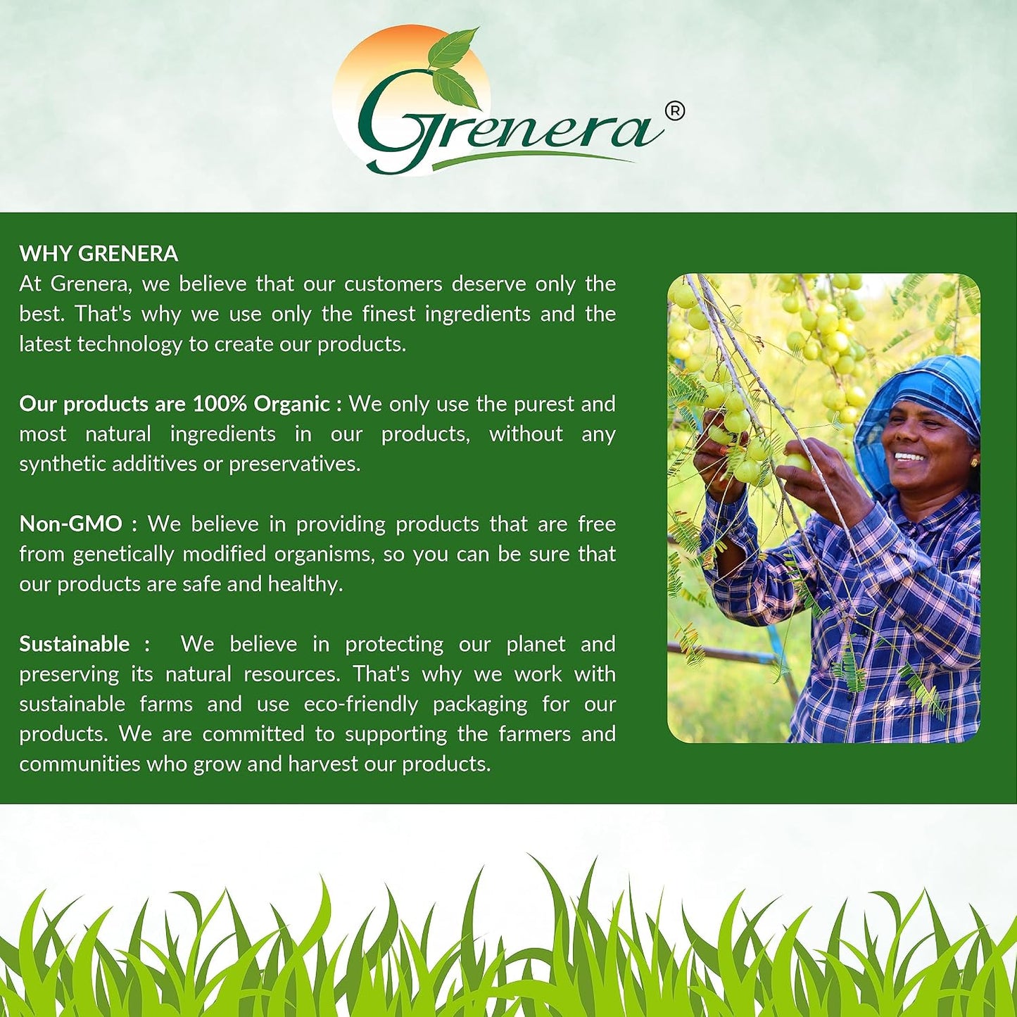 Grenera Organic Amla Powder | Organic Indian Gooseberry | Non-GMO, Vegan, Kosher & Gluten-free | 1 kg - görsel 9