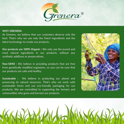 Grenera Organic Amla Powder | Organic Indian Gooseberry | Non-GMO, Vegan, Kosher & Gluten-free | 1 kg