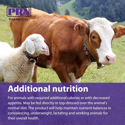 PRN Pharmacal STAT High-Calorie Nutritional Supplement for Dogs and Animals, Vanilla Flavour, 473 ml