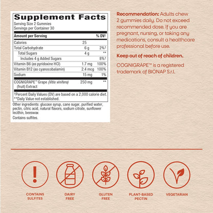 Nature's Way Brain Fuel Gummies – Cognitive Support with COGNIGRAPE and Vitamins B6 & B12 (60 Gummies)