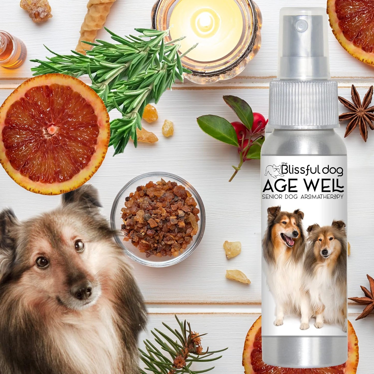 The Blissful Dog Shetland Sheepdog Age Well Spray Aromatherapy - görsel 7