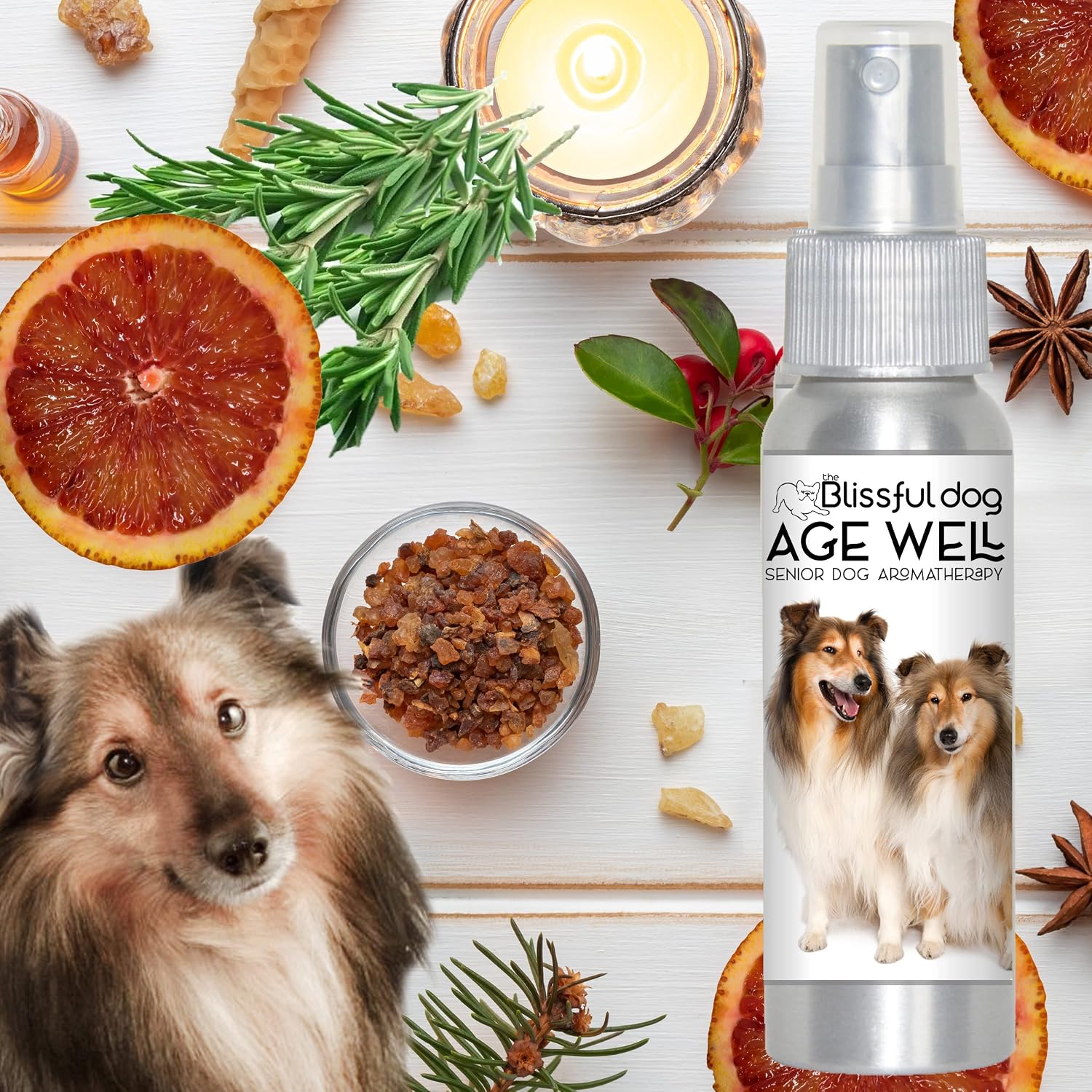 The Blissful Dog Shetland Sheepdog Age Well Spray Aromatherapy - görsel 7