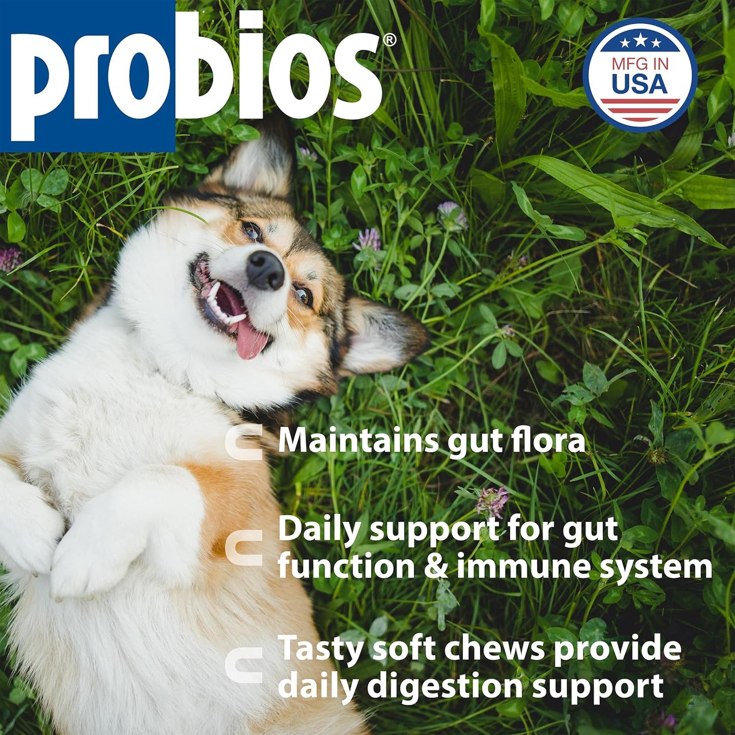Probios for Dogs Soft Chews - Daily Probiotic Supplement for Gut Health, Digestion & Immune Support - Chicken Liver Flavour - 120 Chews - görsel 2