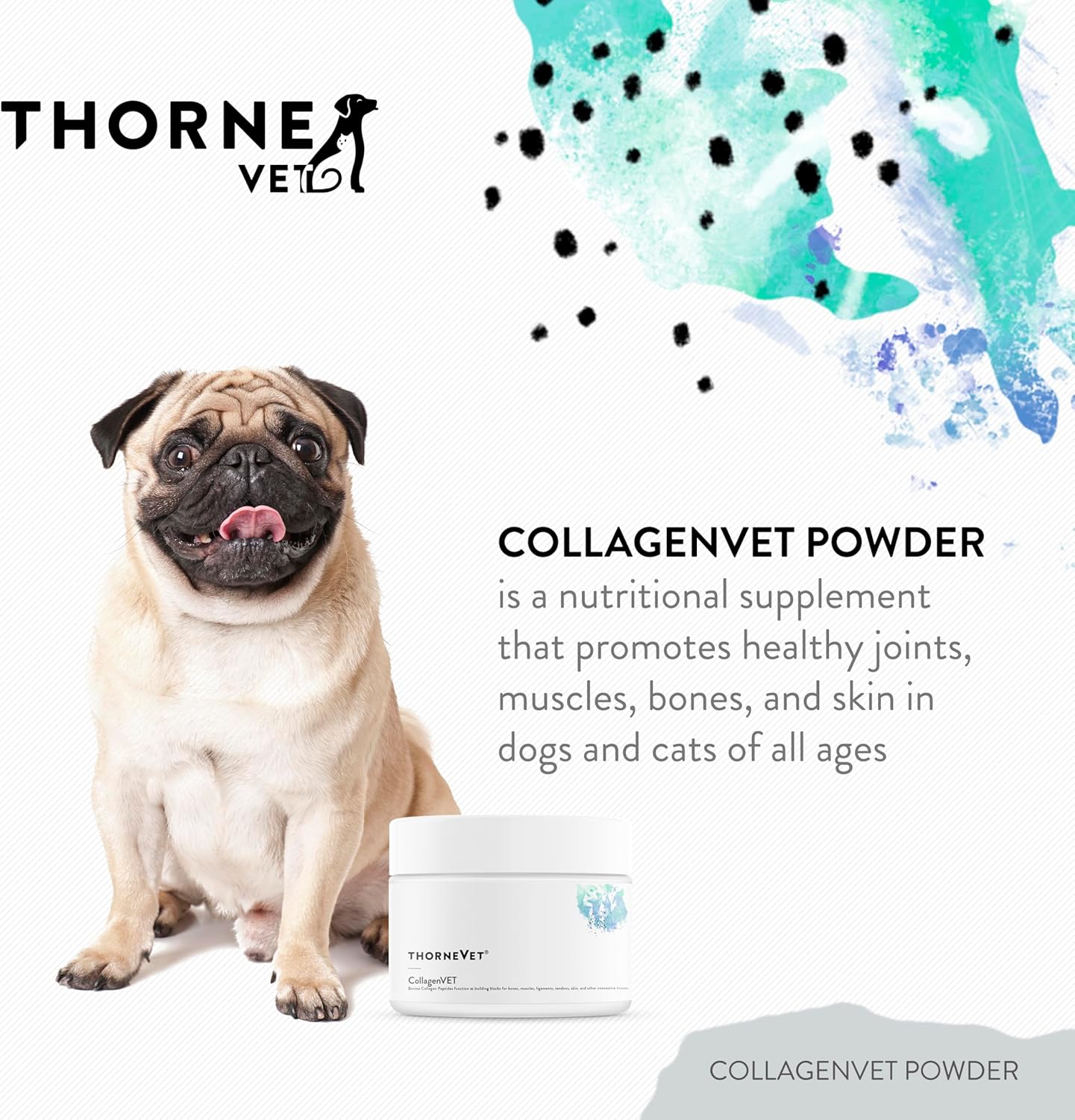 ThorneVet Collagen Supplement for Dogs and Cats – Powder (75 Scoops) - görsel 2