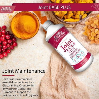 Buried Treasure Joint Ease Plus - 473 ml, Glucosamine Chondroitin with MSM and Turmeric, Joint Support Supplement