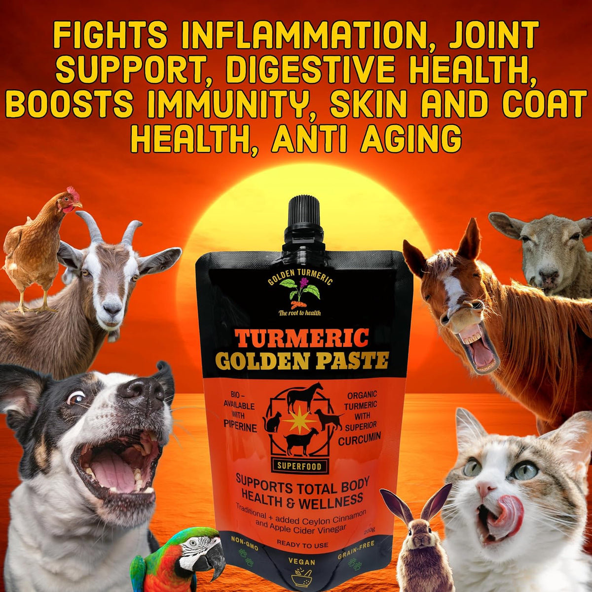 Turmeric Golden Paste for Pets 200g - görsel 5