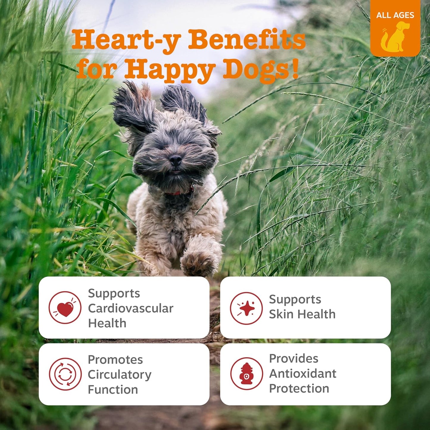 Zesty Paws Cardiovascular Support for Dogs – with CoQ10, Taurine, L-Carnitine & AlaskOmega Fish Oil – Senior Heart Health – Salmon – 90 Chews - görsel 2