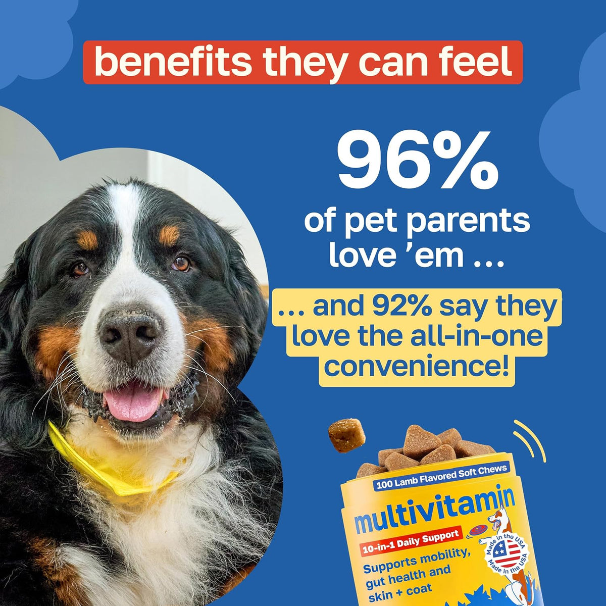 Happy Paws 10-in-1 Dog Multivitamin - Daily Nutritional and Immune Support with Coconut Oil, Vitamin D3 and Biotin, Vegan Lamb Flavour (100 Chews) - görsel 4