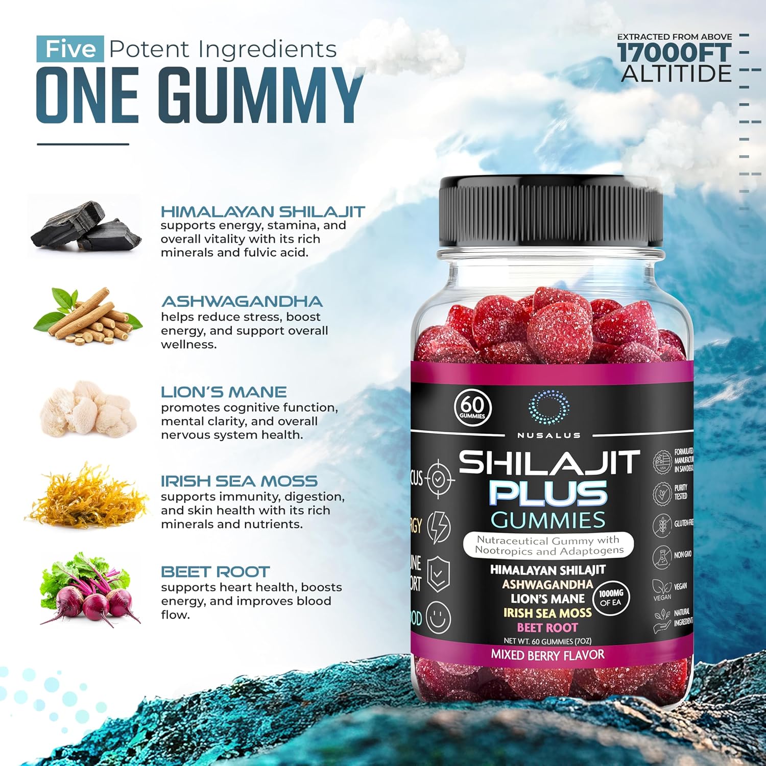 Nusalus Shilajit Plus Gummies – 5-in-1 Adaptogen Energy & Focus Supplement (60 Count) - görsel 2