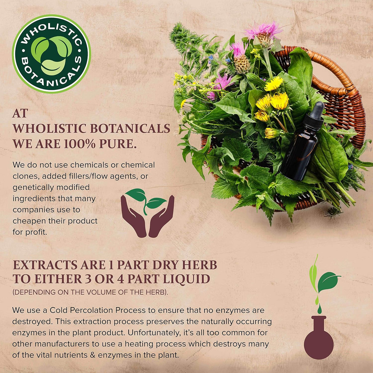 Wholistic Botanicals Herbal C Capsule - Vitamin C Supplement 100 Capsules - görsel 5