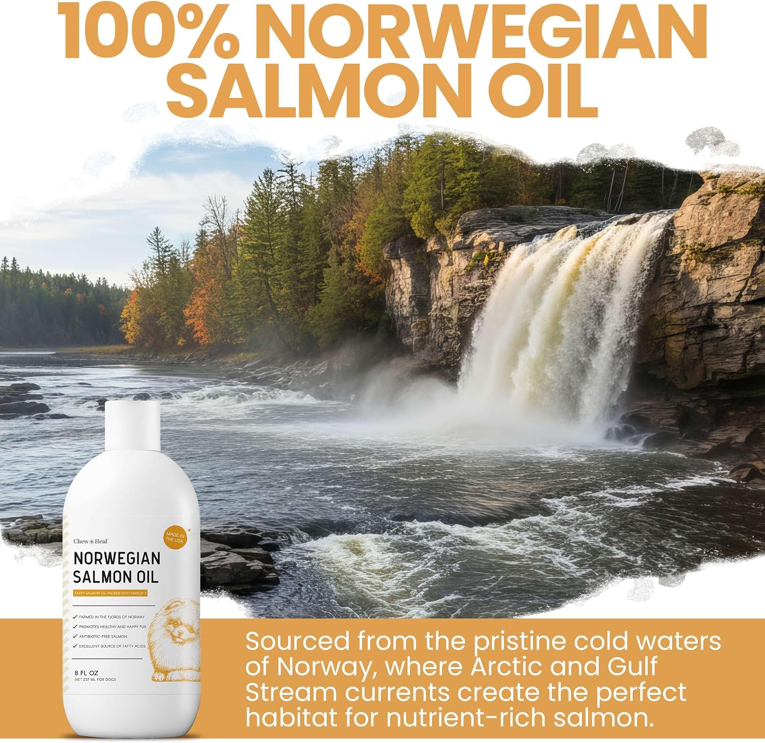 Salmon Oil for Dogs - Premium Fish Oil for Skin and Coat Health - Omega-3 Supplement - 8 oz Liquid - görsel 5
