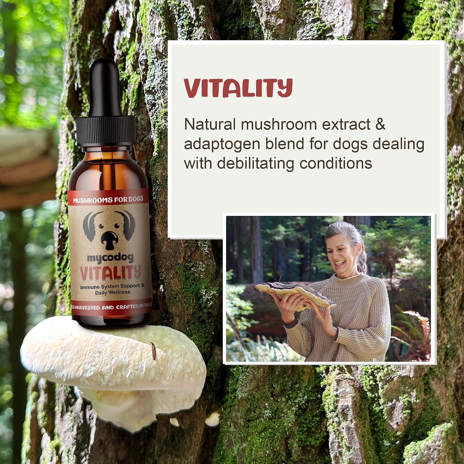 Vitality - 20-in-1 Turkey Tail Mushroom for Dogs - Mushroom & Adaptogen Supplement for Senior Dogs - Supporting Immune Health & Daily Wellness - with Reishi, Chaga - görsel 2