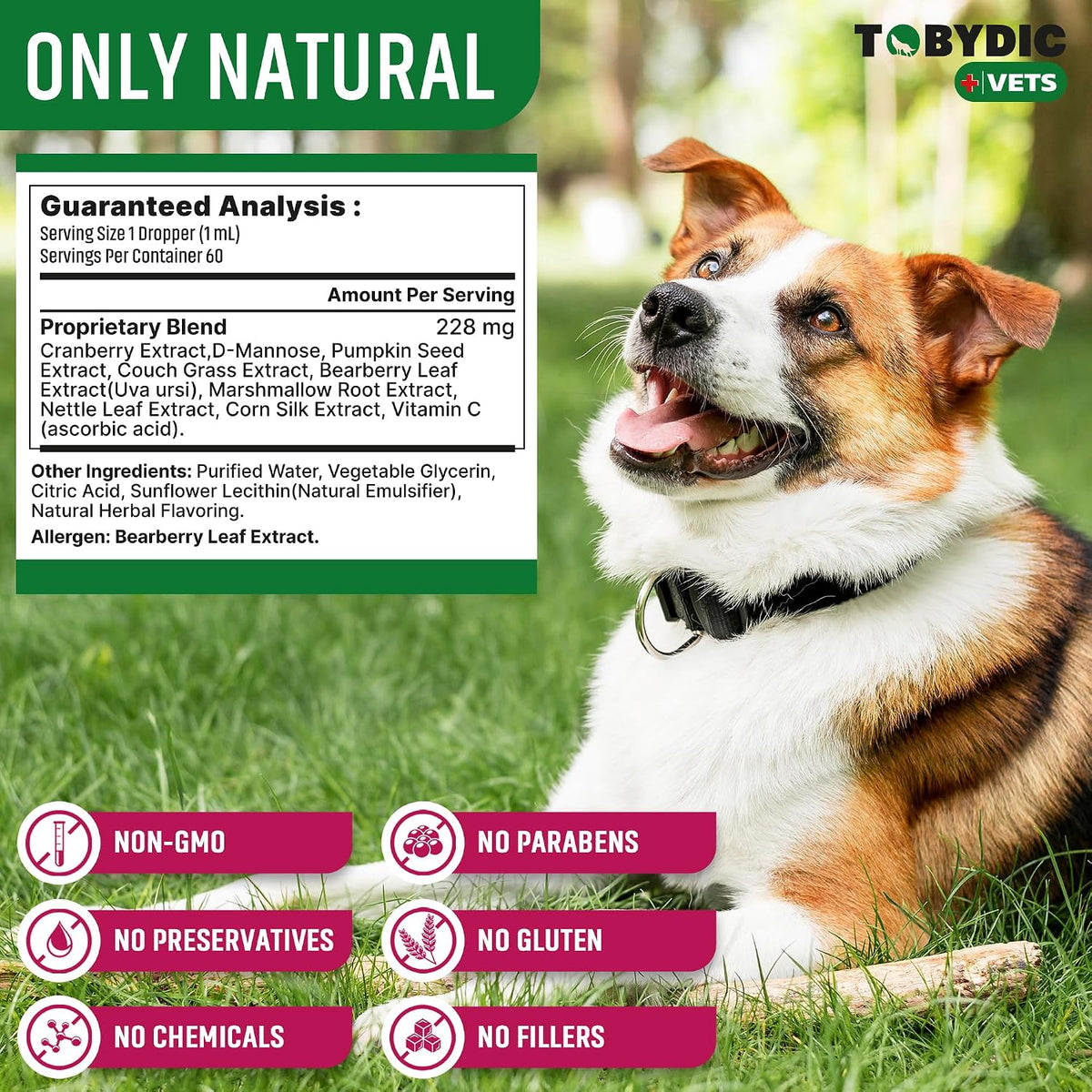 Cat & Dog Urinary Tract Support with Cranberry & D-Mannose – Natural Supplement for Feline and Canine Kidney and Bladder Health - görsel 7